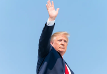 Trump’s Board of Peace: The Art of the Deal Meets the Complexity of Gaza