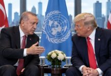 Erdoğan and Trump Planning New York Meeting at UN Assembly
